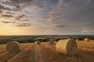 Rural Devon Straw Bale Print