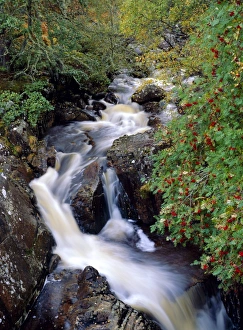 Blurred Motion Waterfall Prints: Stream, Glen Affric