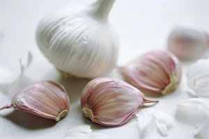 Studio Shot Of Garlic Prints: Studio shot of a bulb