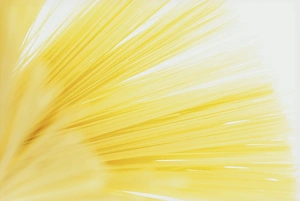 Studio Shot Of Spaghetti Prints: Studio shot of spaghetti
