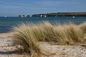 Studland Beach and The Foreland or Hardfast Point, showing Old Harry Rock Studland Beach and The Foreland or Hardfast Point, showing Old Harry Rock