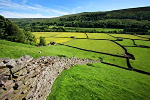 Summer meadows at Gunnerside in Swaledale, Yorkshire Dales, Yorkshire, England Summer meadows at Gunnerside in Swaledale, Yorkshire Dales, Yorkshire, England