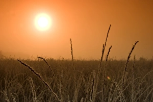 NRW Nature Photography Prints: Sunrise in the fen