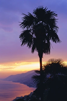 European Coastal Scenery Images Prints: Sunset, Camogli