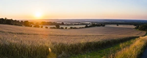 British Agricultural Scenery Prints: Sunset over fields just outside Guildford, Surrey, England, United Kingdom, Europe