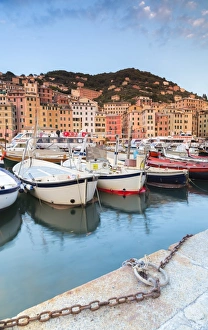 Sunset frames harbour and fishing village of Camogli, Gulf of Paradise, Portofino National Park Sunset frames harbour and fishing village of Camogli, Gulf of Paradise, Portofino National Park