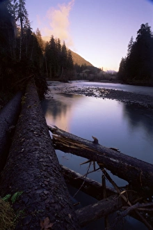 Olympic National Park Landscape Prints: Sunset over the Hoh River