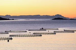 Sunset lights up the fish tanks of codfish and salmon in the cold sea of Torsken Sunset lights up the fish tanks of codfish and salmon in the cold sea of Torsken