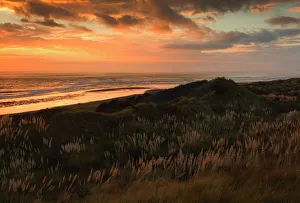 North Island Prints: Ocean Beach Sunset Print