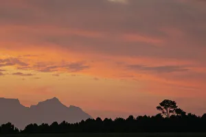 Table Mountain Sunset Prints: Sunset over Table Mountain, Stellenbosch, Western Cape, South Africa, Africa