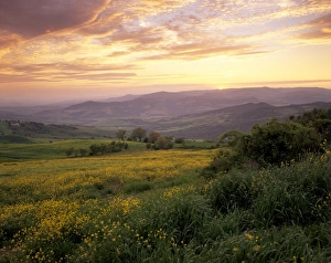 Italian Countryside Scenery Prints: Sunset over Val d Orcia