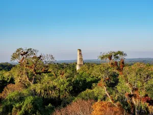 Ancient Maya Civilization Prints: Sunset view of Temple III from elevated position, showcasing Tikal in Peten, Guatemala
