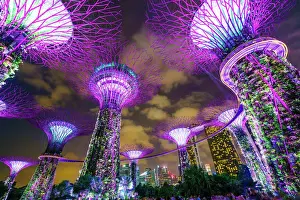 Supertree Grove Print, Gardens by the Bay, Singapore