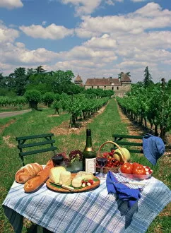 Images Dated 26th January 2000: Table set with a picnic lunch in a vineyard in Aquitaine, France, Europe