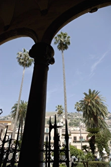 Palermo Italy Landmarks Prints: Tall palm trees