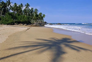 Tranquil Waterfront View Prints: Tangalla beach