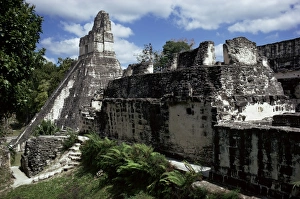 Peten Guatemala Tourism Prints: Temple I, Tikal