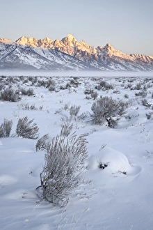 Wyoming Winter Landscapes Prints: Teton range at first light in winter