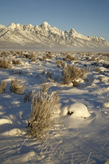 Wyoming Winter Landscapes Prints: Teton range in winter