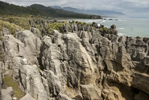 New Zealand Geology Prints: Thin-bedded Oligocene Cobden limestone, Punakaiki, Pancake Rocks, Greymouth, South Island