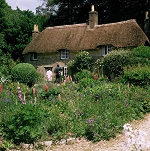 Thomas Hardy's Cottage Print, Bockhampton