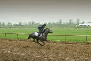 Images Dated 2000 January 1 Jan 2000: The Thoroughbred Center Print, Lexington, Kentucky