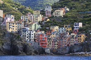 Tiny harbour and medieval houses in steep ravine, Riomaggiore, Cinque Terre, UNESCO Tiny harbour and medieval houses in steep ravine, Riomaggiore, Cinque Terre, UNESCO