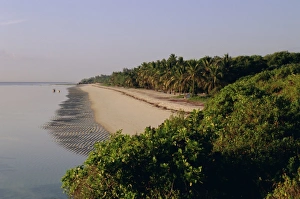 African Beach Destinations Prints: Tiwi Beach