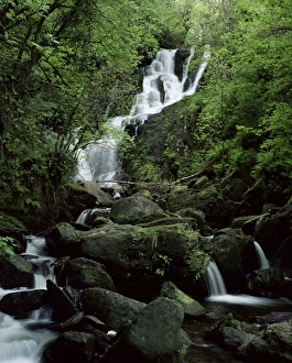 Contemporary Irish Landscapes Prints: Torc Waterfall