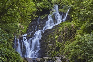 Torc Waterfall, Killarney National Park, near Killarney, County Kerry, Munster Torc Waterfall, Killarney National Park, near Killarney, County Kerry, Munster