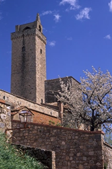 Medieval Italian Towns Prints: Torre Grossa