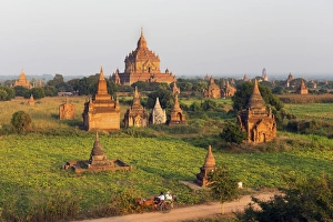 Traditional horse and cart passing the Pagodas in Bagan (Pagan), Myanmar (Burma), Asia Traditional horse and cart passing the Pagodas in Bagan (Pagan), Myanmar (Burma), Asia