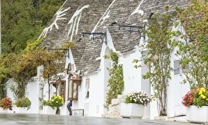 The traditional huts called Trulli built with dry stone with a conical roof, Alberobello The traditional huts called Trulli built with dry stone with a conical roof, Alberobello