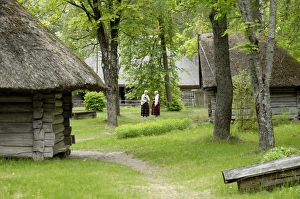 Prints of Traditional Latvian building, Latvian Open Air Ethnographic Museum (Latvijas etnografiskais brivdabas muzejs), near Riga, Latvia, Baltic States, Europe Latvia Prints: Traditional Latvian building Print