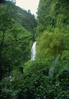 Windward Islands Travel Destination Prints: Trafalgar Falls