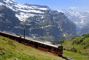 European Mountain Range Photography Prints: Train for Jungfraujoch