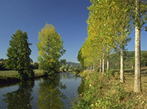 European Water Reflections Prints: Tranquil scene of trees reflected in water, along the banks of the River Sarthe near St
