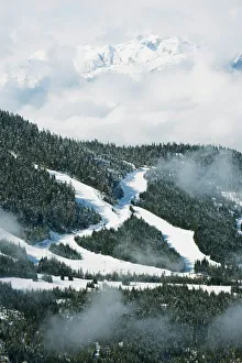 Tree lined ski slopes, Whistler mountain resort, venue of the 2010 Winter Olympic Games Tree lined ski slopes, Whistler mountain resort, venue of the 2010 Winter Olympic Games