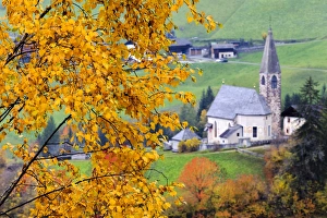 Tree with yellow leaves with the church of Santa Magdalena in the background, Funes Valley Tree with yellow leaves with the church of Santa Magdalena in the background, Funes Valley
