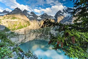 Trees and pine cones framing Oeschinensee lake at sunset, Bernese Oberland, Kandersteg Trees and pine cones framing Oeschinensee lake at sunset, Bernese Oberland, Kandersteg