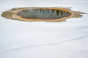 Wyoming Winter Landscapes Prints: Trees reflected in thermal feature in the snow, Yellowstone National Park