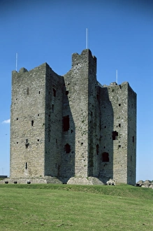 Irish Castle Photography Prints: Trim castle