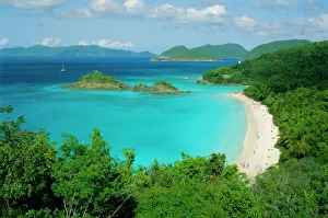 Caribbean Coastline Prints: Trunk Bay, St