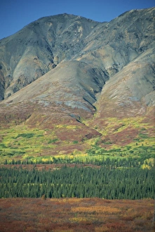 North America National Park Prints: Tundra, Broad Pass