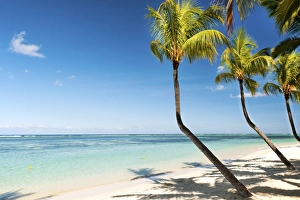 Turquoise sea and white palm fringed beach at Wolmar, Black River, Mauritius, Indian Ocean Turquoise sea and white palm fringed beach at Wolmar, Black River, Mauritius, Indian Ocean