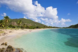 Turtle Beach, on the southeast peninsula, St. Kitts, Leeward Islands, West Indies Turtle Beach, on the southeast peninsula, St. Kitts, Leeward Islands, West Indies