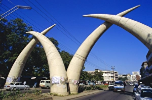Africa's Natural Wonders Prints: Tusk Arches