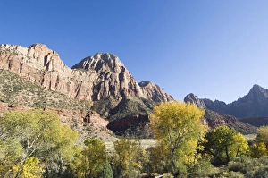 Zion National Park Images Prints: _TUW7141