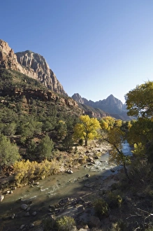 Zion National Park Photography Prints: _TUW7155