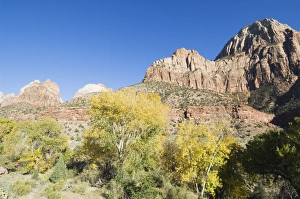 Zion National Park Photography Prints: _TUW7162